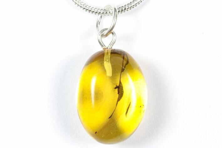 Polished Baltic Amber Pendant (Necklace) - Contains Fly! #357985